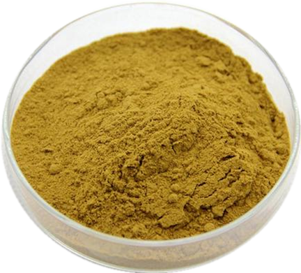 桂枝提取物 解析其在植物提取物中的光谱价值与安全应用