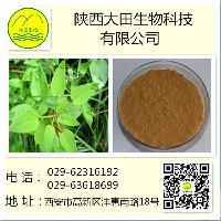 山楂叶提取物（10:1）植物提取行业的生产与供应解析