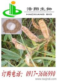 探秘植物提取物 价格・厂家・批发的全面指南